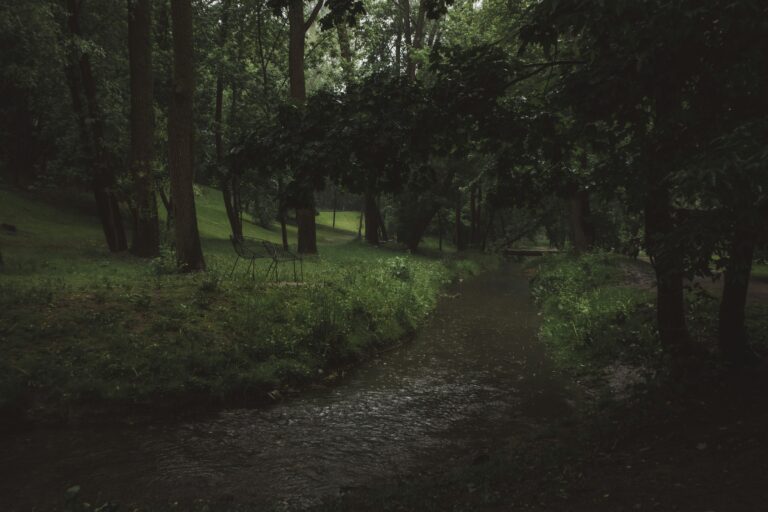 No Motivation? 7 Simple Ways to Get Out of a Rut