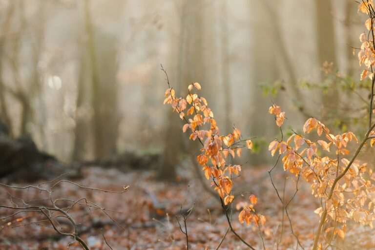 Healing Shame: The Truth About Why You Feel Like You’re Not Enough