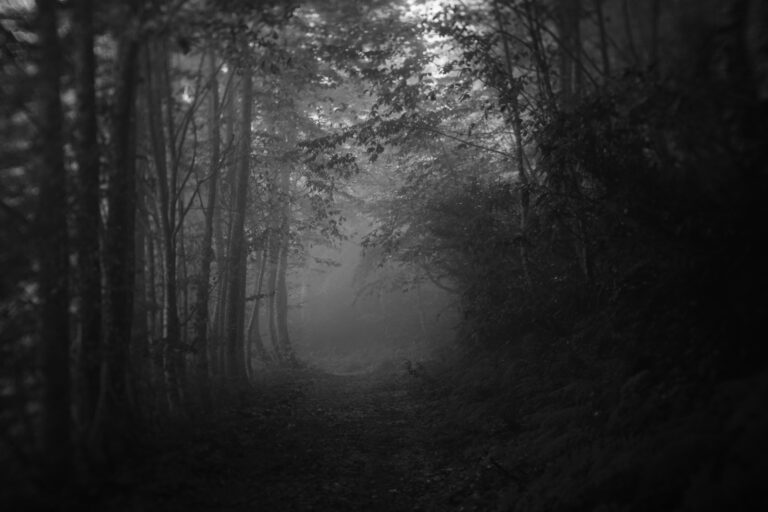 Stop Running From Yourself: How to Overcome Escapism