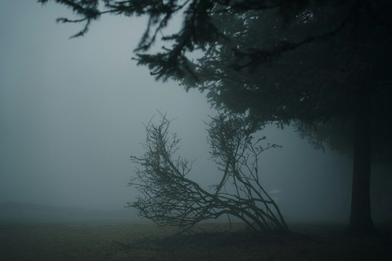 Self Development: How to Stop Living on Autopilot